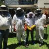 TRAINING COURSE - Image 6